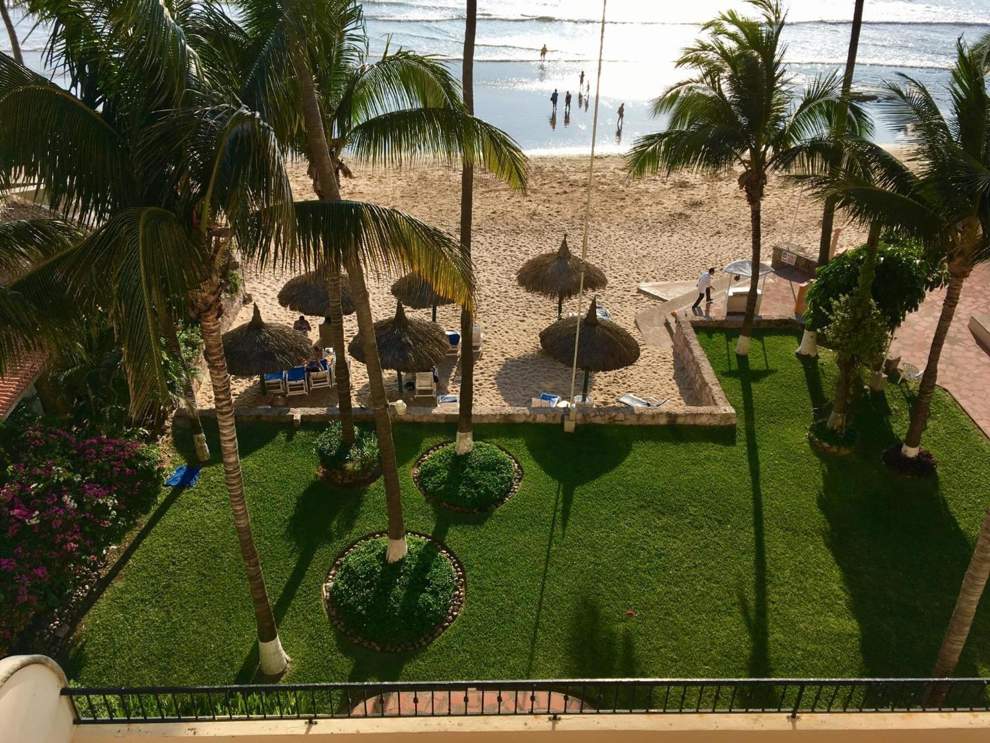 The Palms Of